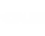 Gauss Intelligent Equipment